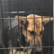 Thumbnail photo of Haven #2