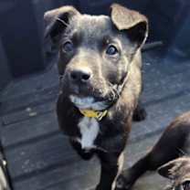 Thumbnail photo of Maite #2