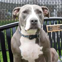 Thumbnail photo of Cali #1