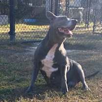 Thumbnail photo of Gloria #1