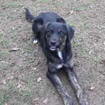 Thumbnail photo of Kara #1