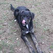 Thumbnail photo of Kara #2