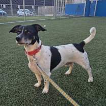 Thumbnail photo of Benny #1