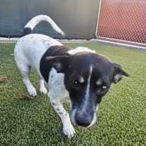 Thumbnail photo of Benny #2