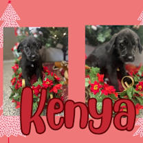Thumbnail photo of Kenya #1