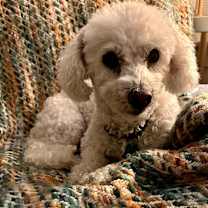 Thumbnail photo of Milo West #1