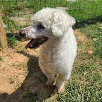 Thumbnail photo of Milo West #2