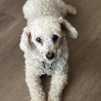 Thumbnail photo of Milo West #4