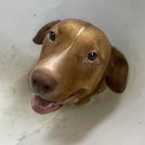 Thumbnail photo of Jammies #3