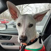 Thumbnail photo of Astro D67498 #4