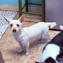 Thumbnail photo of Powder #3