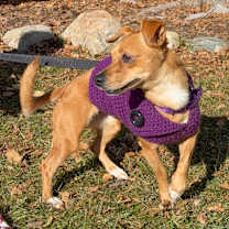 Thumbnail photo of Lilly #4