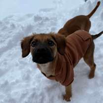 Thumbnail photo of Marni #2