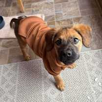 Thumbnail photo of Marni #3