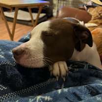 Thumbnail photo of Boo Berry #4