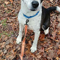 Thumbnail photo of TUFF #3