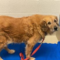 Thumbnail photo of Bo #2