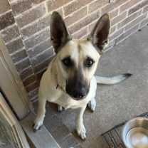 Thumbnail photo of Naila #1