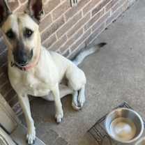 Thumbnail photo of Naila #2