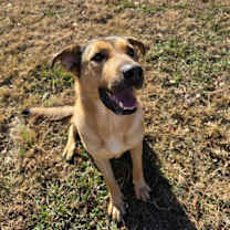 Thumbnail photo of DARLA #1