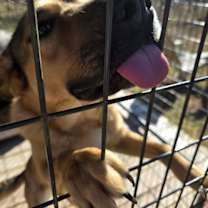 Thumbnail photo of DARLA #3