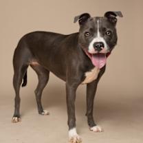 Thumbnail photo of Celeste #1