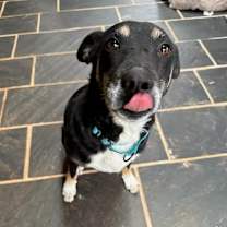 Thumbnail photo of Trick or Treat #3