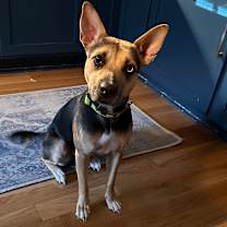 Thumbnail photo of Scram #3