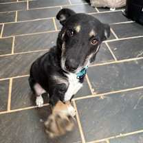 Thumbnail photo of Trick or Treat #4