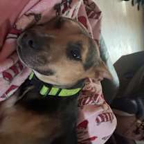 Thumbnail photo of Scram #4