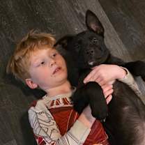 Thumbnail photo of VINCENT  #3