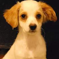 Thumbnail photo of Fred #1