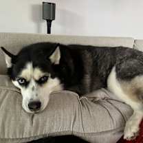 Thumbnail photo of Chicago & Luna #1