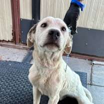 Thumbnail photo of Wasabi* #2