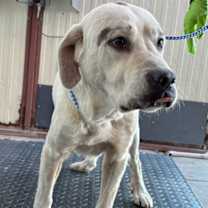 Thumbnail photo of Hiro* #1