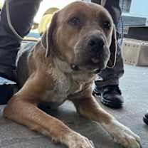 Thumbnail photo of Fred* #2