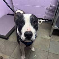 Thumbnail photo of 59928334 #1