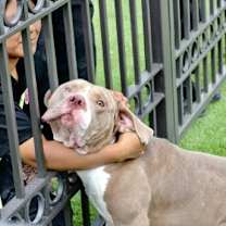 Thumbnail photo of Royal P #4