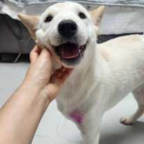 Thumbnail photo of PINK #2