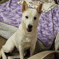 Thumbnail photo of PINK #3