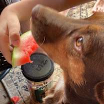 Thumbnail photo of Carmela #1