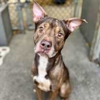 Thumbnail photo of Canon #2