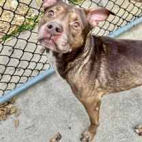 Thumbnail photo of Canon #3