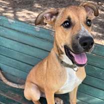 Thumbnail photo of Ruston #1