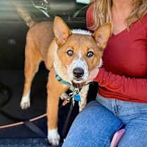 Thumbnail photo of Calypso #1