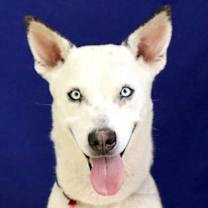 Thumbnail photo of Booker T #1