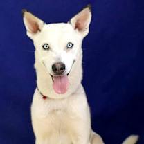 Thumbnail photo of Booker T #2