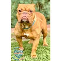 Thumbnail photo of Sister Agnes RB #1