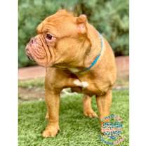 Thumbnail photo of Sister Agnes RB #2