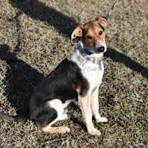 Thumbnail photo of Willy #3